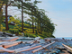Below Tsa Kwa Luten, Quadra Island 30 x 40