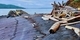 Driftwood Palace, Pender Island 24 x 48