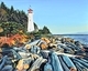 Cape Mudge  16 x 20