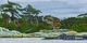 Discovery Island 10 x 20